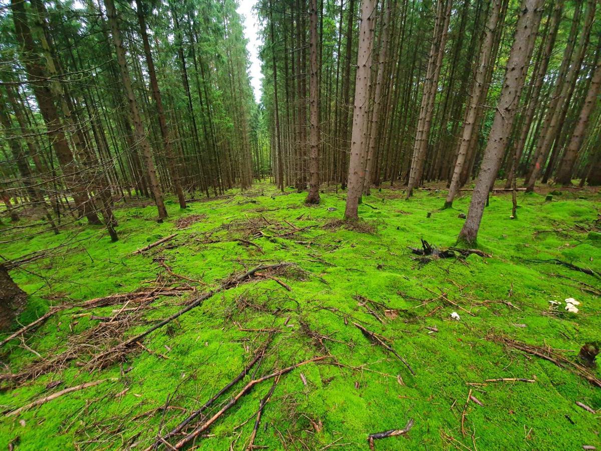 Holzhaus Am See Mit Panoramablick Trausnitz Buitenkant foto